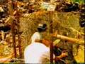 C-Block - Motherless Child (btnh)