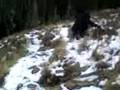 videos de mailbox peak descent with terrible shoes