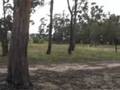 News Update - Sustainable Living Centre Project