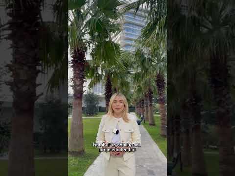 YEDİ MAVİ PROJESİ