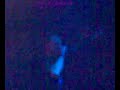 el sicario la ley de ohm en directo viciootravez ulti notic 