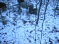 Twilight Spoof Teaser/Intro