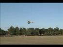 Flying in the Wind