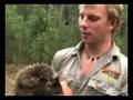 Under Down Under - With Adam Sills
