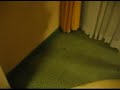 The Last Moments of a San Antonio Cricket