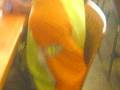videos de los cordinadores (/asiisooiiyoo)