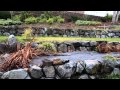 Canon 17-40mm F/4L USM Test Footage