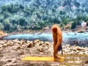 Hatha Yoga, Patanjali Yoga, Surya Namskar, Salute to God, Lord\ Hatha Yoga, Patanjali Yoga, Surya Namskar, Salute to God, Lord\