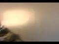 videos de A Day Without Dominick