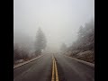 boards of canada olson 002