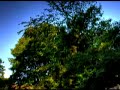 HDR Timelapse - Dawn