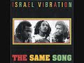 Licks & Kicks - Israel Vibration
