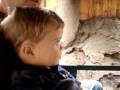 videos de Hutch rides the train