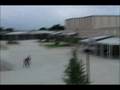 videos de insearchofsasquatch.avi