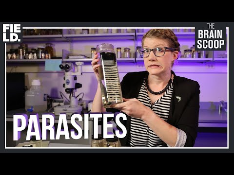 The case for saving PARASITES