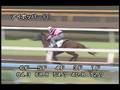 videos de [調教] 081008 アイポッパー 「京都大賞典」前追い切り