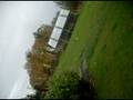 videos de dancing in rain