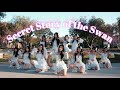 Secret Story of the Swan