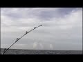 Mentawai Big Game Fishing Tales