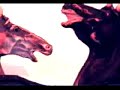Sof�a - Cinema Arte