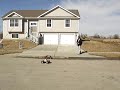 Traxxas Tmax And A Savage By HPI
