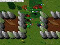 Tibia Askara player killing part I Tibia Askara player killing part I