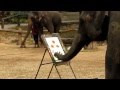 Painting by Elephant-2.MOV