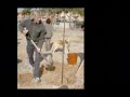 Accions dels veinats del parc de les vies