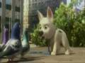  - MovieZen Video
