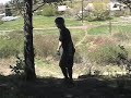 Brett - Dirt Love - Pigeonfest.com