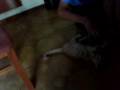 YouTubeサムネイル[0UdZtwKn53U] - 3枚目