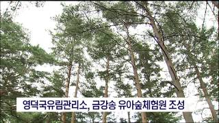 뉴스데스크