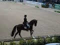 Anky van Grunsven HorseShow 2007