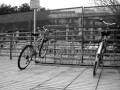 clip video Kraftwerk Kling Klang Dynamix