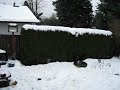 test 2