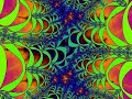 Psychedelic Zebra