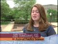 Virginia Tech: Once a Hokie...