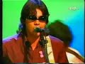 Gato callejero - Los delinq�entes.