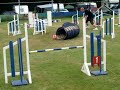 dog agility DDV 2008