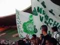 Verdão Invade o Maraca