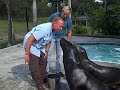 Tampa Bay Dog Whisperer meets Sea Lions Tampa Bay Dog Whisperer meets Sea Lions