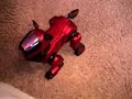 Meet Ferrari - Dingo\ Meet Ferrari - Dingo\