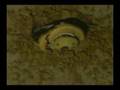 tzolkin-another ufo dimention