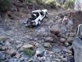 s10 hill climb s10 hill climb