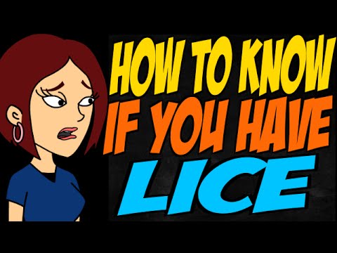 how to know if u have lice