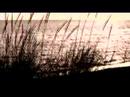 Wu Ming 4 - Stella del mattino - booktrailer