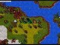 tibia lvl up