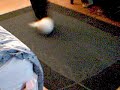 fitball 3
