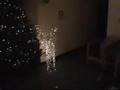 A San Miguel Christmas 2005