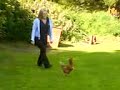 me chasing patricks chicken hahaa